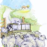 851-sheep-car-dog